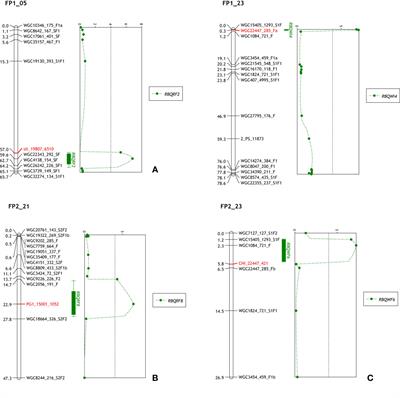 The use of a candidate gene approach to study Botrytis cinerea resistance in Gerbera hybrida